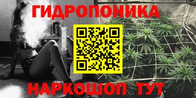 spice Камышлов