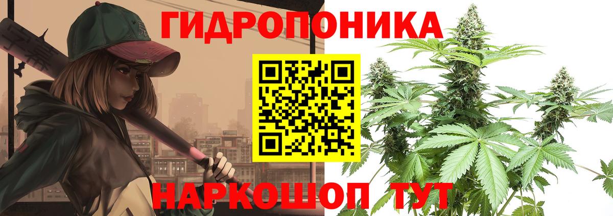 Бошки марихуана семена  Бошки Шишки индика  Каннабис сатива  Донецк  Вход с VPN 
